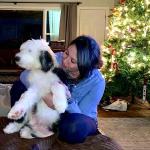 Meet your Posher, Fabi